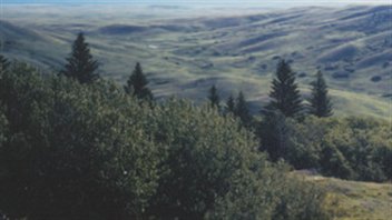Le parc Cypress Hills en Saskatchewan