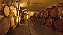 Les vins bios du domaine canadien Tawse 