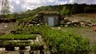 La Pépinière Ancestrale de Saint-Julien