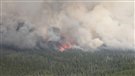 Incendies de forêt : les vents gagnent en intensité