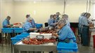 La réforme de l'assurance-emploi soulève de la colère dans les industries saisonnières