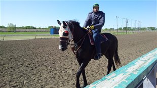 Les courses de chevaux n'ont plus le soutien de Regina