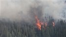 Incendies de forêt : de la pluie pourrait aider les pompiers dans le nord de l'Ontario