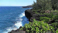 sentier du littoral � Basse Vall�e, le long de la c�te du Sud sauvage � St Philippe.
