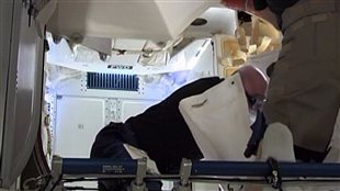 Les astronautes de la SSI entrent dans la capsule Dragon