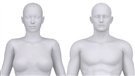 Transgenres : définitions et interventions