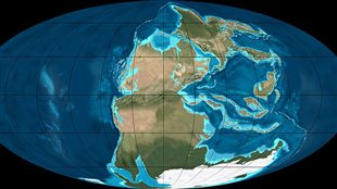 Des millions d'années pour se remettre de la grande extinction