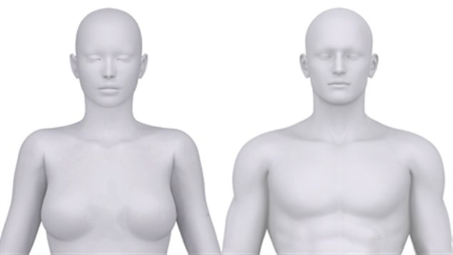 Transgenres