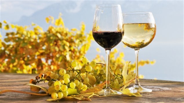 Vins