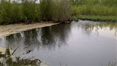 La rivière Red Deer, en Alberta, polluée par un déversement de pétrole