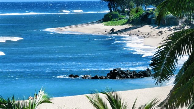 Il n'y pas que la plage � La R�union; la litt�rature y est foisonnante