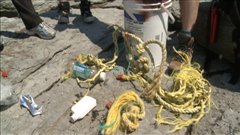 Déchets retrouvés sur l'île
