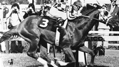 Secretariat et le jockey Ron Turcotte