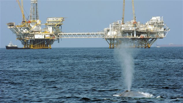 La faune aquatique sera désormais mieux protégée contre l'exploitation pétrolifère et gazière