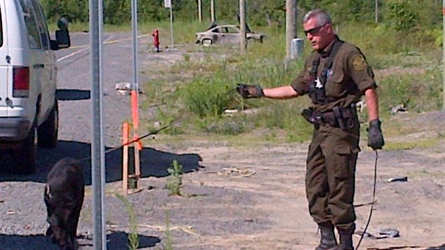 Un corps a ététrouvé dans une automobile incendiée