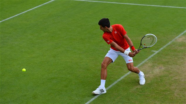 Novak Djokovic à Wimbledon