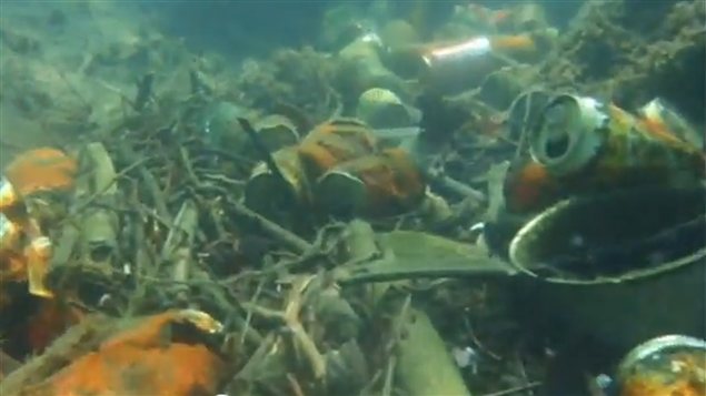 Image tirée d'une vidéo filmée sous l'eau au large de Cannes, en France, par une mission d'Expédition Méditerranée en danger