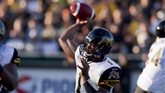 burris_ticats