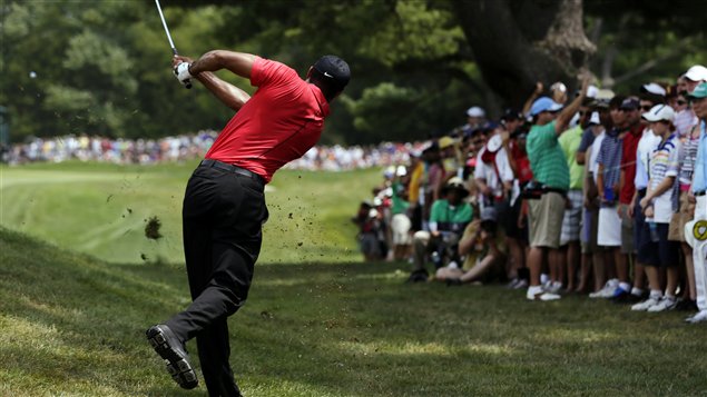 woods_bethesda