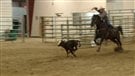 Le cowboy canadien (2e partie)