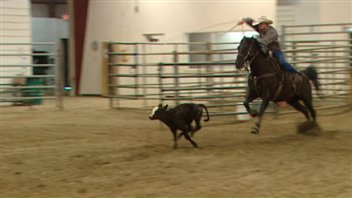 Satmpede de Calgary