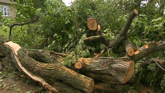 Des arbres sont tombés à St-Rémi en Montérégie.