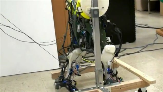 Les jambes biomécaniques