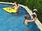 Des enfants se baignent dans une piscine
