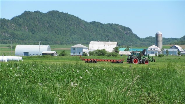 Production agricole dans le Bas-Saint-Laurent