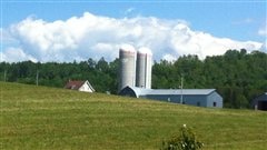 Ferme-BSL-Champ-agriculture