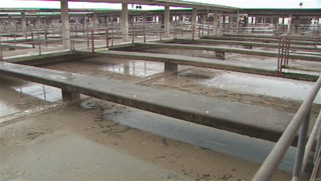 système de traitement des eaux usées