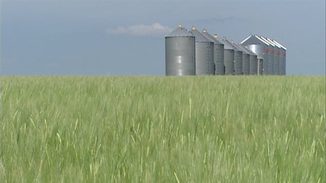 Une exploitation céréalière