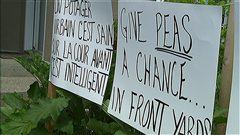 Des résidents contestent le fait de ne pas pouvoir cultiver leur jardin en façade.