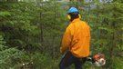 Assurance-emploi : échange d'emplois en Haute-Gaspésie