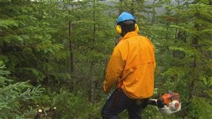 Assurance-emploi : échange d'emplois en Haute-Gaspésie