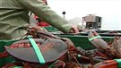 Les pêcheurs de homard de la Gaspésie en situation de crise