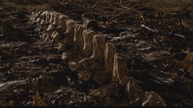 Une image du film Bydlo