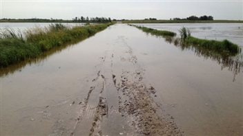 Une route inondée menant à la réserve de la Première Nation James Smith, en Saskatchewan