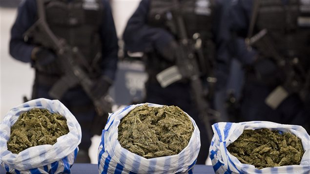 Des sacs de marijuana saisis par la police fédérale mexicaine, en 2011. 