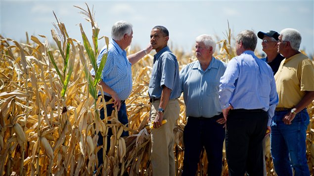 Le président américain Barack Obama dans un champ de maïs de l'Iowa, aux États-Unis.