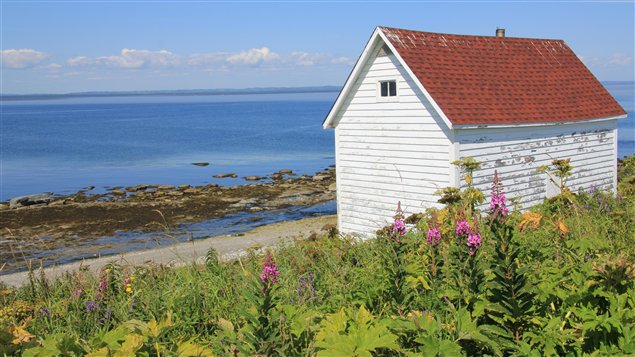 L'île aux Perroquets