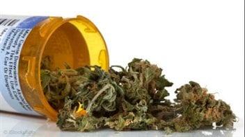 Marijuana thérapeutique
