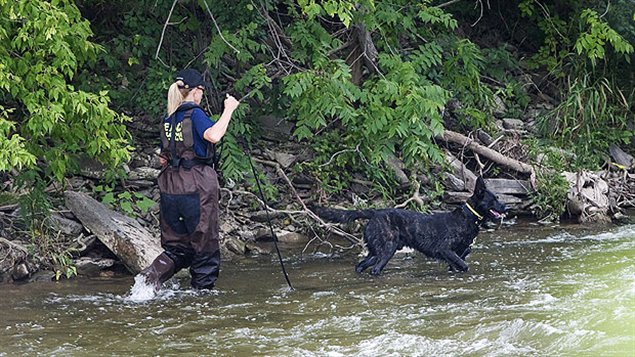 Une policière à la recherche d'indices avec un chien renifleur dans le parc Hewick Meadows de Mississauga.