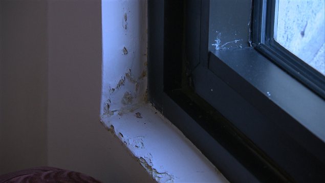 Habitations Plamondon dans l'arrondissement de Côte-des-Neiges à Montréal