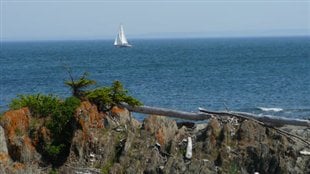 Des nouveautés cet été sur l’île Saint-Barnabé