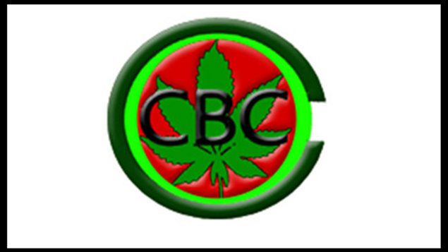 club canabis de Victoria