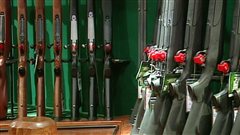 Armes d'�paule