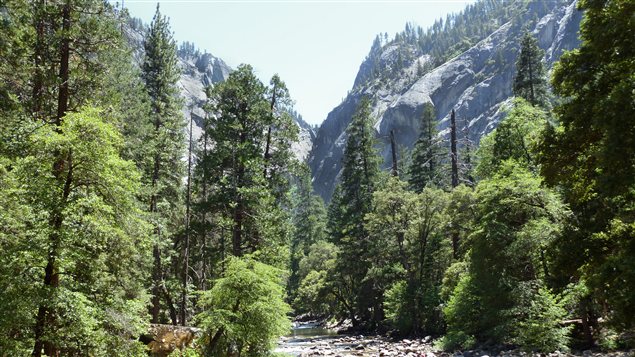 Vue sur une vallée du parc national Yosemite, en Californie.