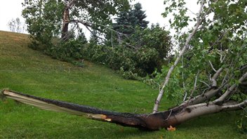 Au Parc Beauséjour de Rimouski