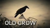 Old Crow